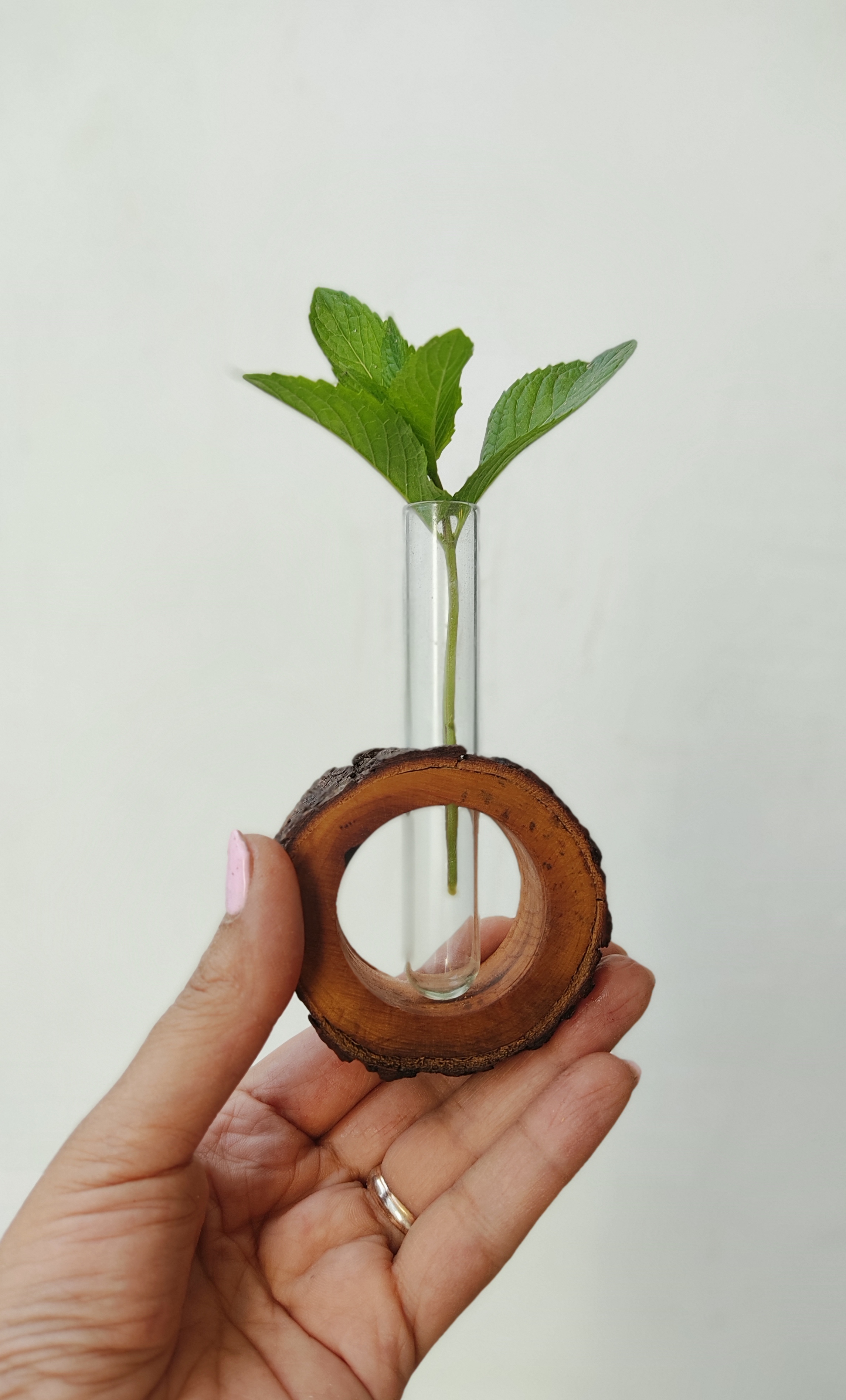 گلدان مینیمال رو میزی